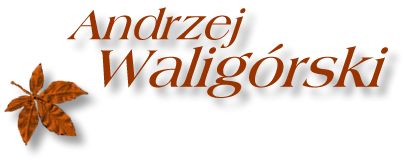 [Kacik absurdu im. Andrzeja Waligórskiego]